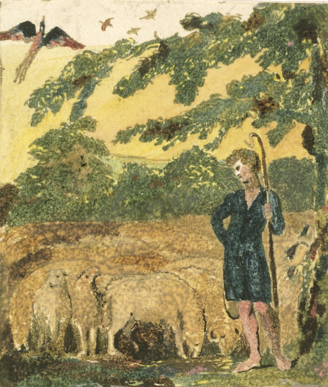 The Shepherd, fra 