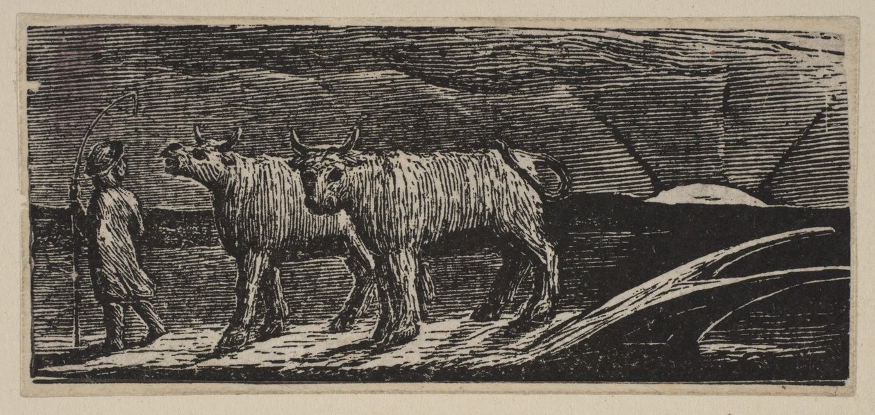 Unyokd Kvier, Loitering Homeward, fra Thorntons Pastorals of Virgil, 1821. af William Blake