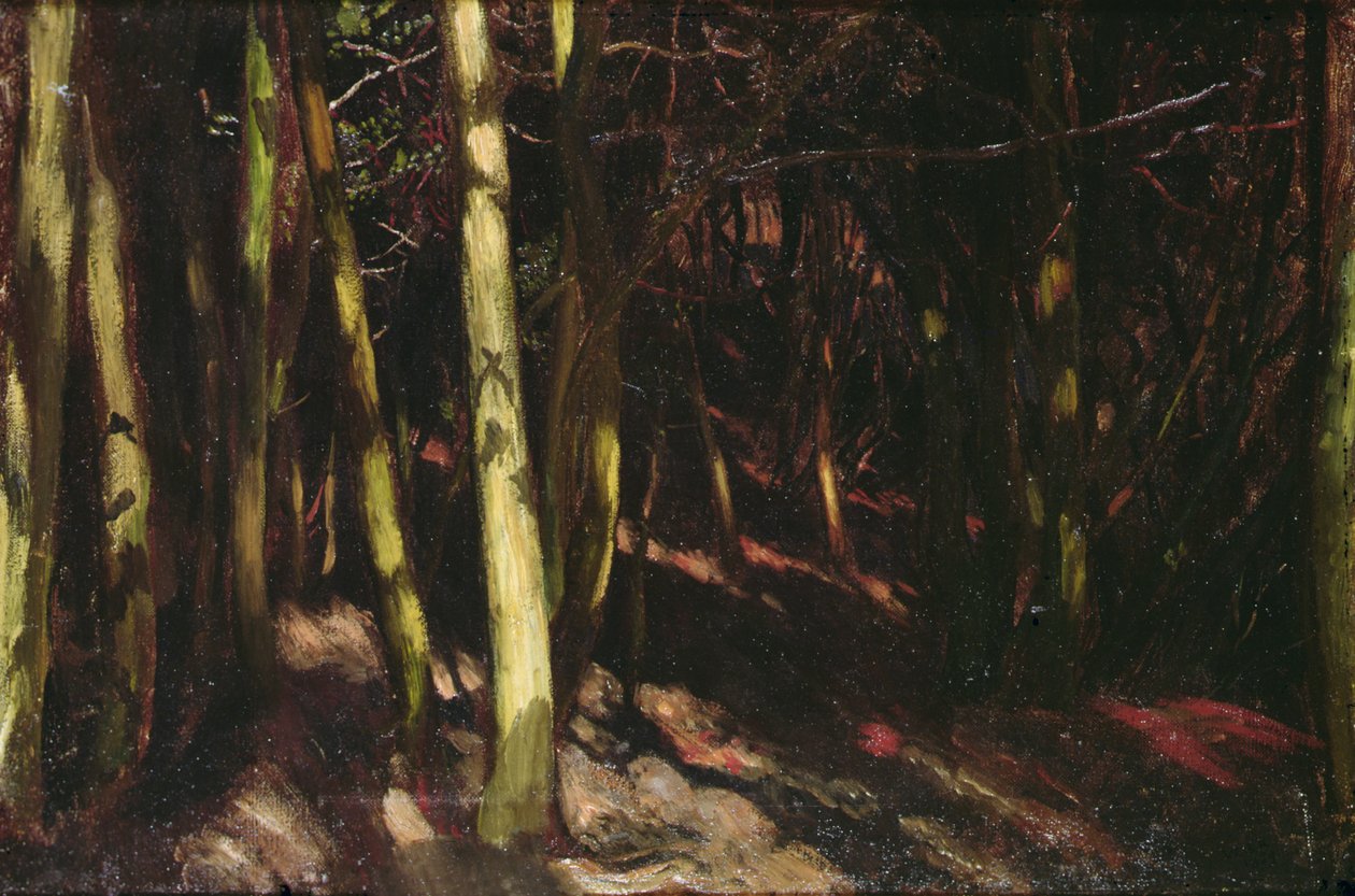 Træer, ca.1890 (olie på plade) af William Blake Richmond