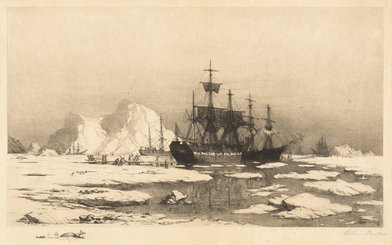 Blandt Isflager af William Bradford