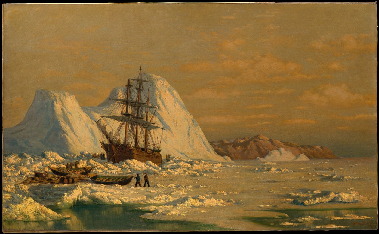 En hændelse under hvalfangst af William Bradford