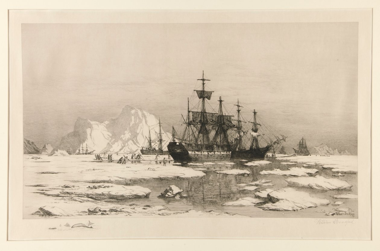Sælgere i Arktis, efter maleriet: Among the Ice Floes, 1875 af William Bradford
