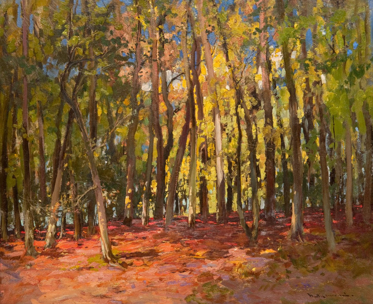 Hekseskoven af William Bradley Lamond