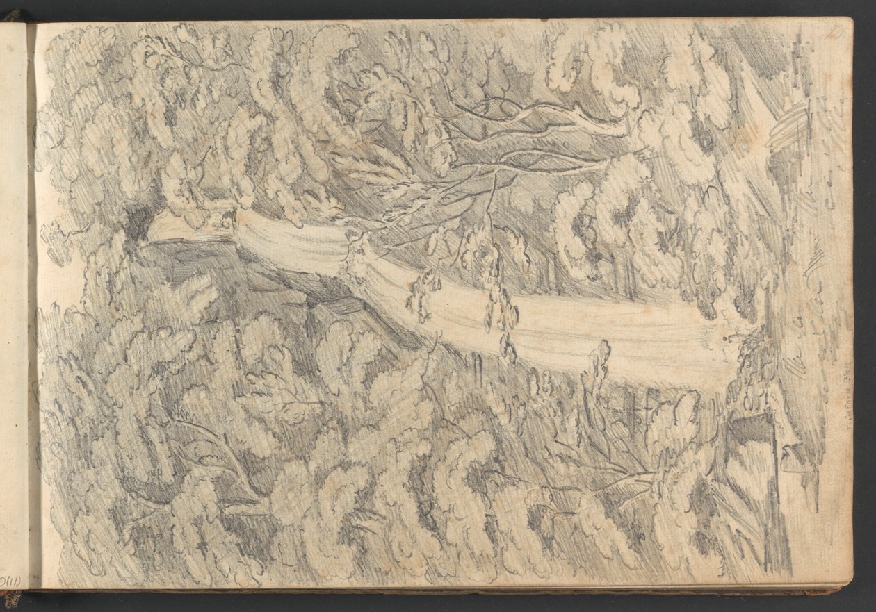 Lidford Fall af William Brockedon