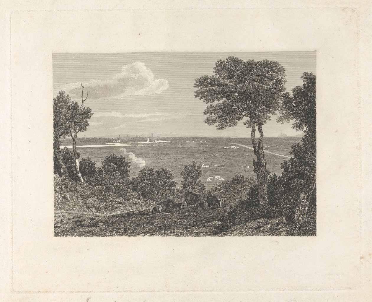 Fjernsyn over Chester af William Byrne