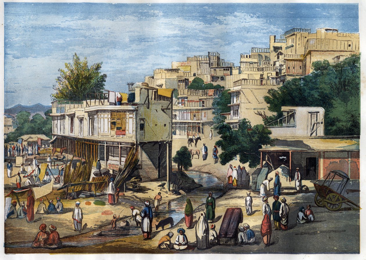 Udsigt over Peshawar, Pakistan af William Carpenter