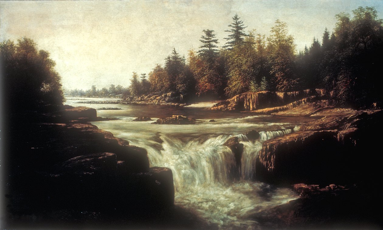 Little Falls of the Passaic River (olie på lærred på papforing) af William Charles Anthony Frerichs