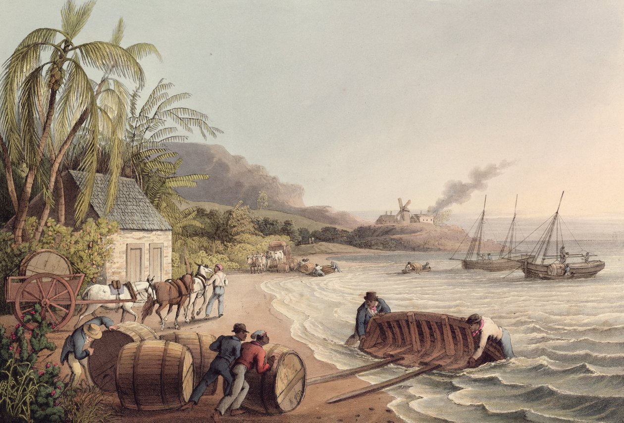 Indlæsning af tønder rom og sukker, Antigua af William Clark