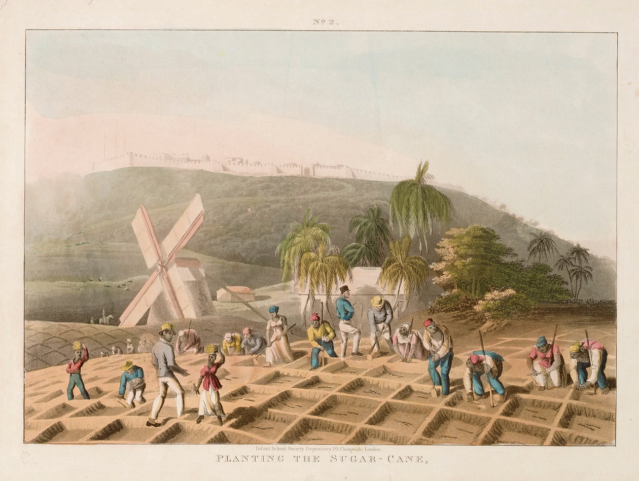 Plantning af sukkerrør, ca. 1820 (koloreret stik) af William Clark