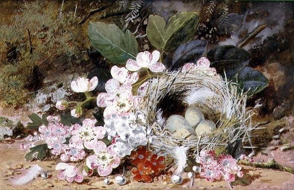 Stilleben af Fuglerede med Primulaer af William Cruikshank