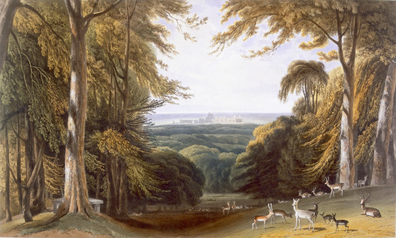 Glen i Windsor Park nær Bishops Gate, c1827-30. af William Daniell