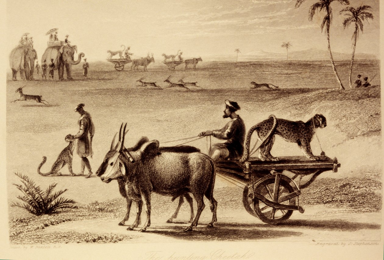Jagtgeparderne af William Daniell