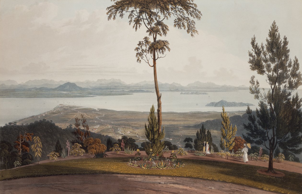 Udsigt fra Strawberry Hill, Prince of Wales Island af William Daniell