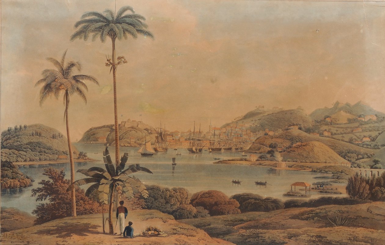 Udsigt over byen St. George og Richmond Heights på øen Grenada, taget fra bugten af oberstløjtnant Wilson, 1819 af William Daniell