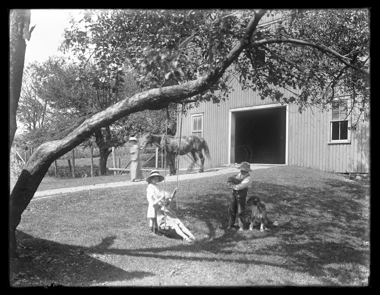 Børn fra McCready-familien med hund og hvalp samlet omkring en tovgynge uden for en lade, ca.1913 af William Davis Hassler