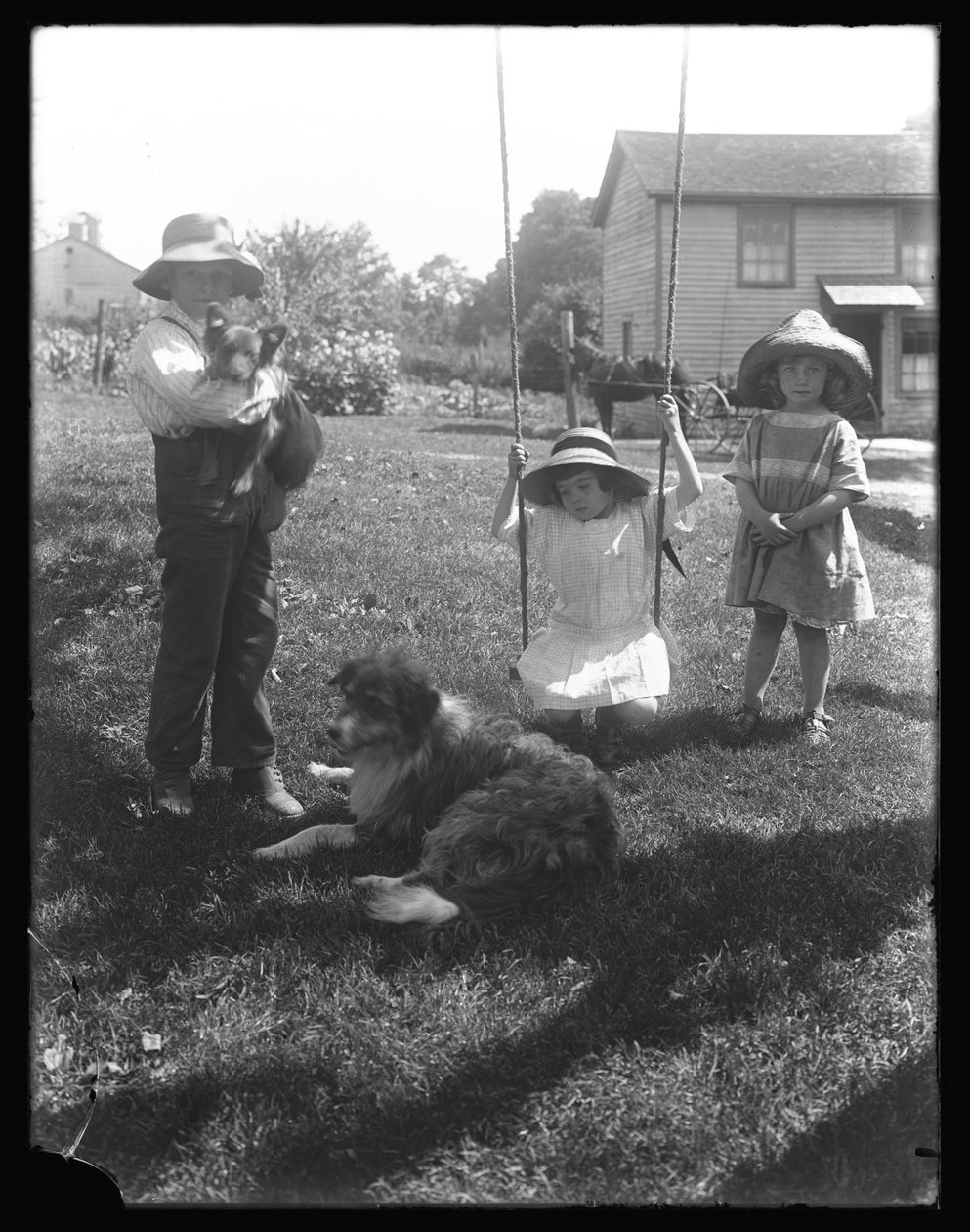 Børn med en hund og hvalp samlet omkring en reb-gynge på McCready Farm, Pennsylvania, ca. 1913 af William Davis Hassler