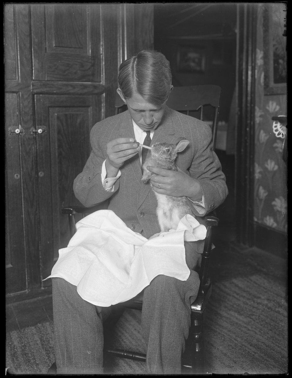 James H. Hassler fodrer en kanin, ca. 1912 af William Davis Hassler