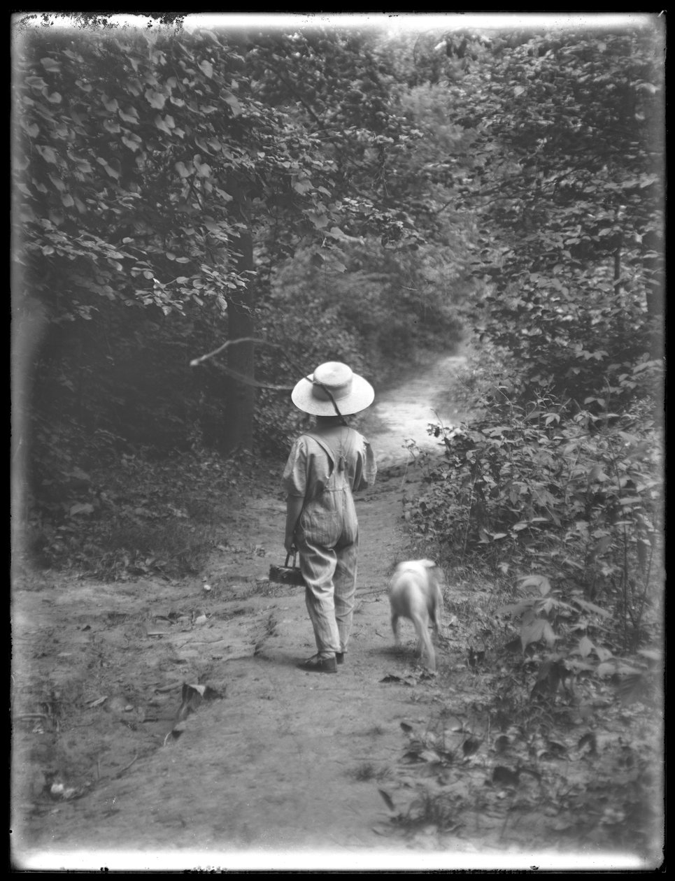 William Grey Hassler i stråhat og overalls, med fiskestang og kurv, går ned ad en sti i skoven med en lille hund (Bessie), 20. august 1911 af William Davis Hassler