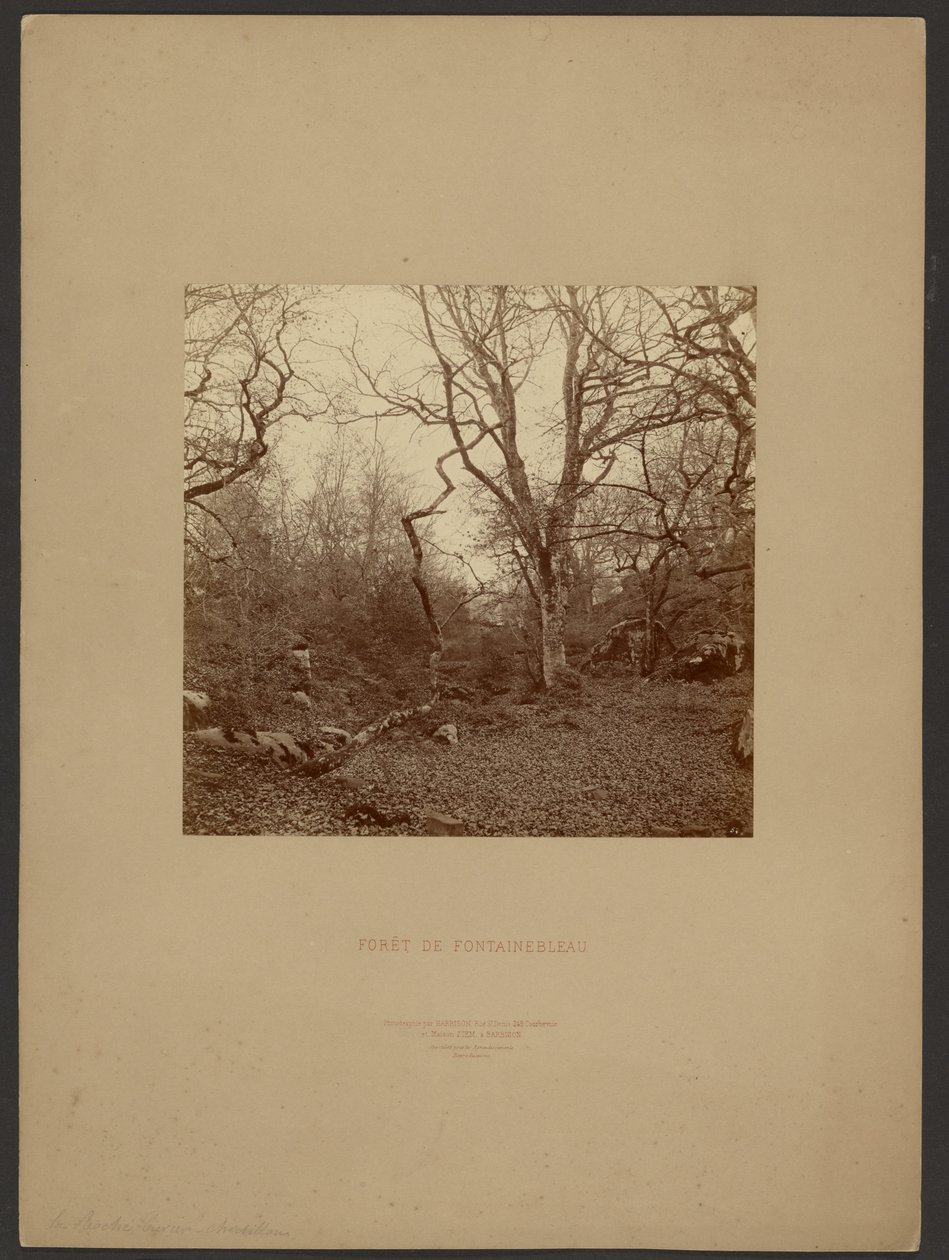 Fontainebleau-skoven af William Drooke Harrison