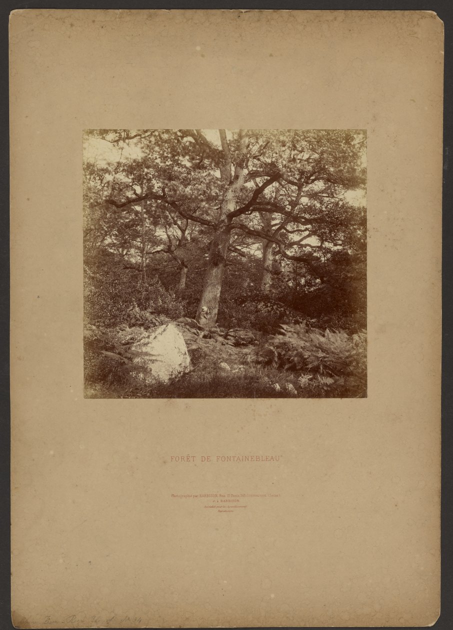 Fontainebleau-skoven af William Drooke Harrison