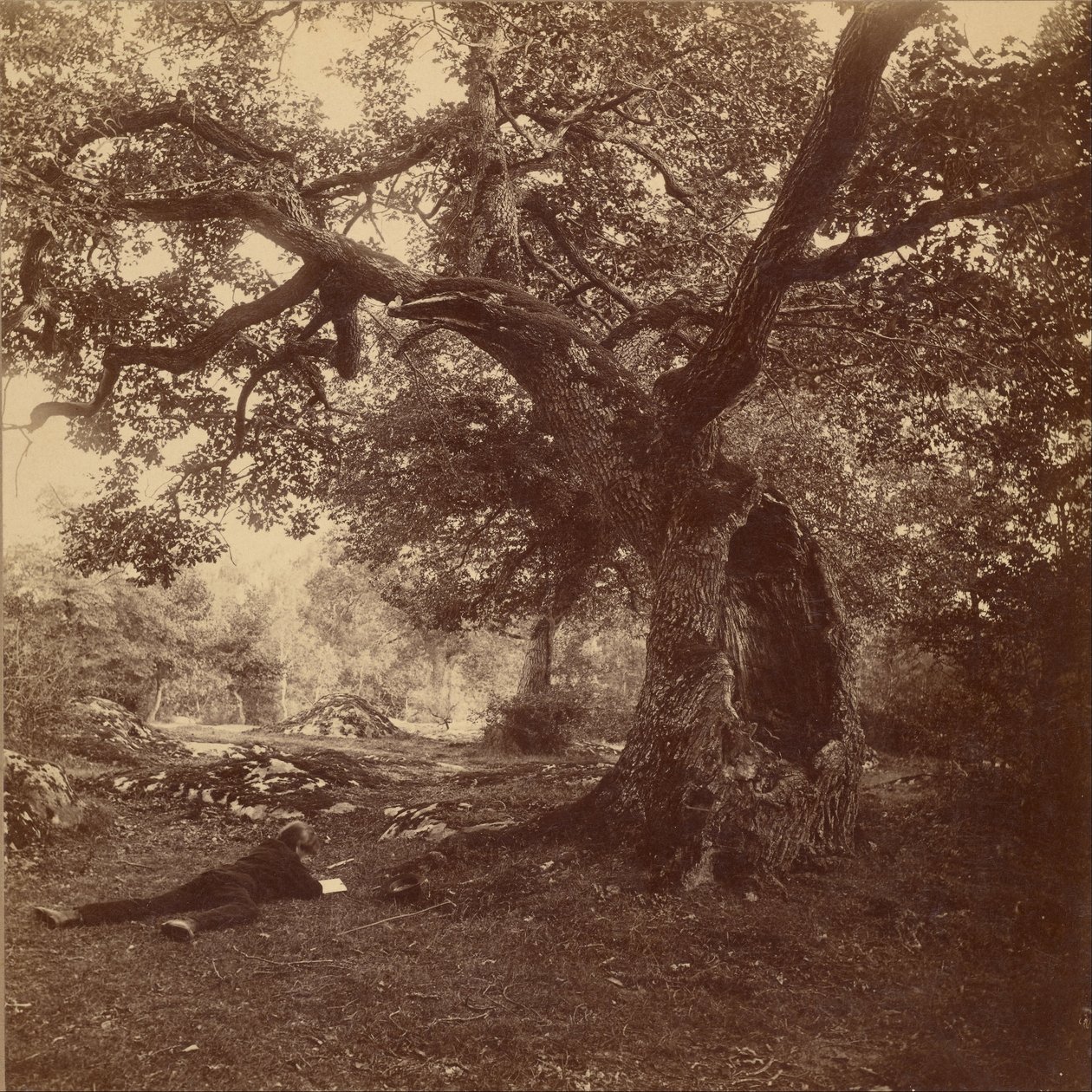Fontainebleau Skov af William Drooke Harrison