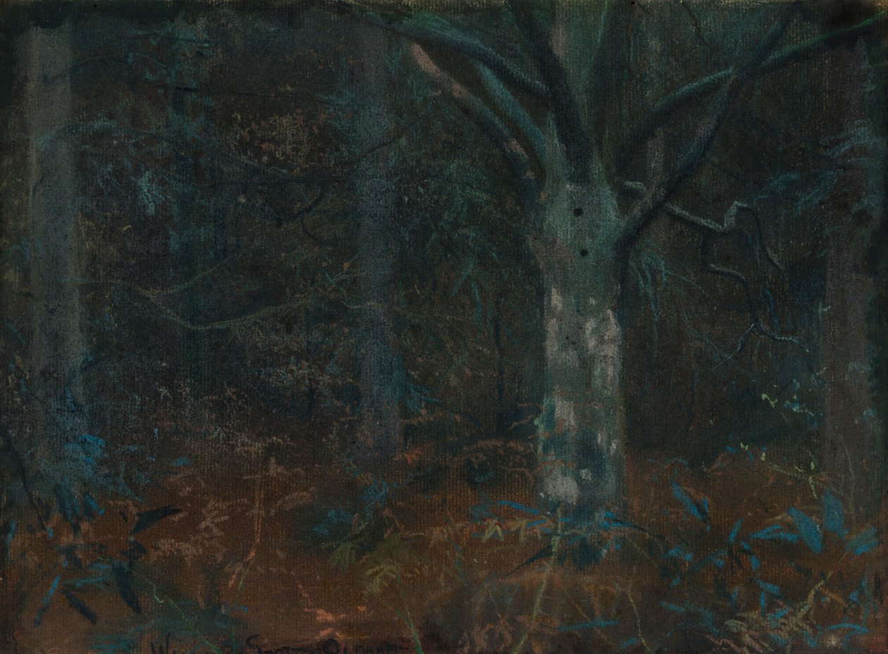 Gamle Sycamore af William Edward Stott
