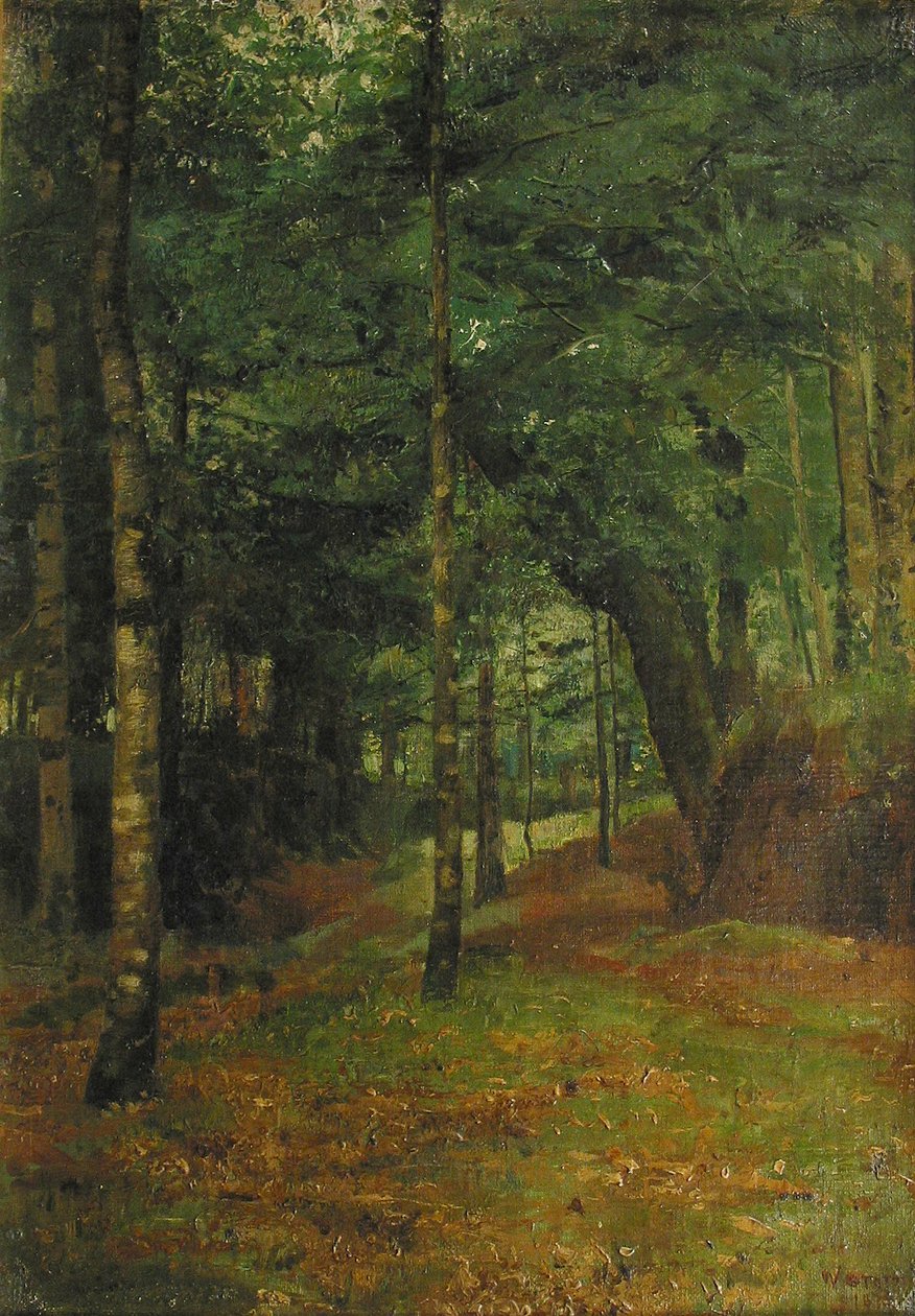Undersøgelse af solen, der skinner gennem træerne, Concarneau af William Edward Stott