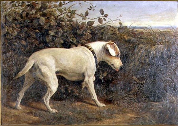 Terrier i et landskab af William Elsob Marshall