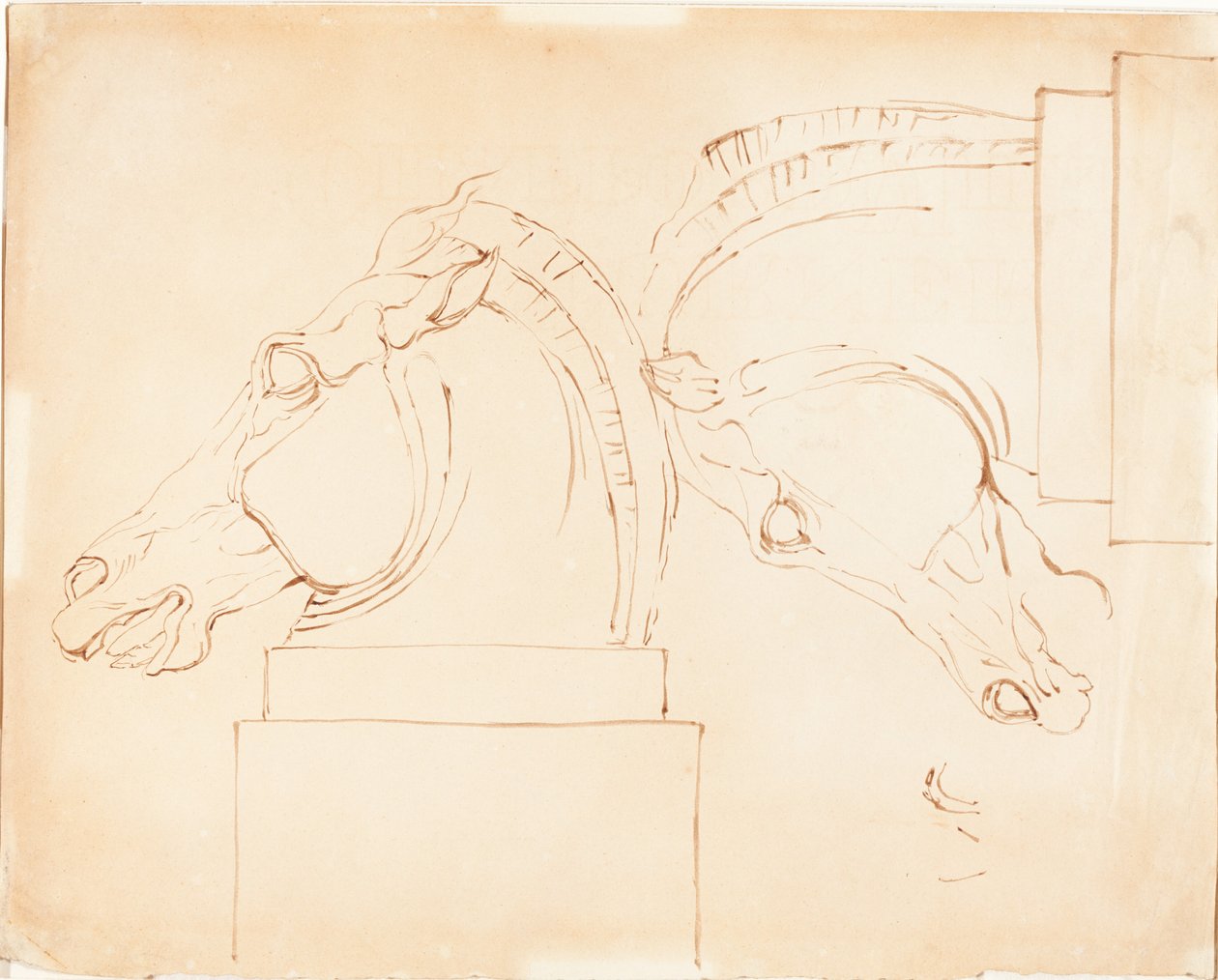 The Horse of Selene fra Elgin Marbles [recto] af William Etty
