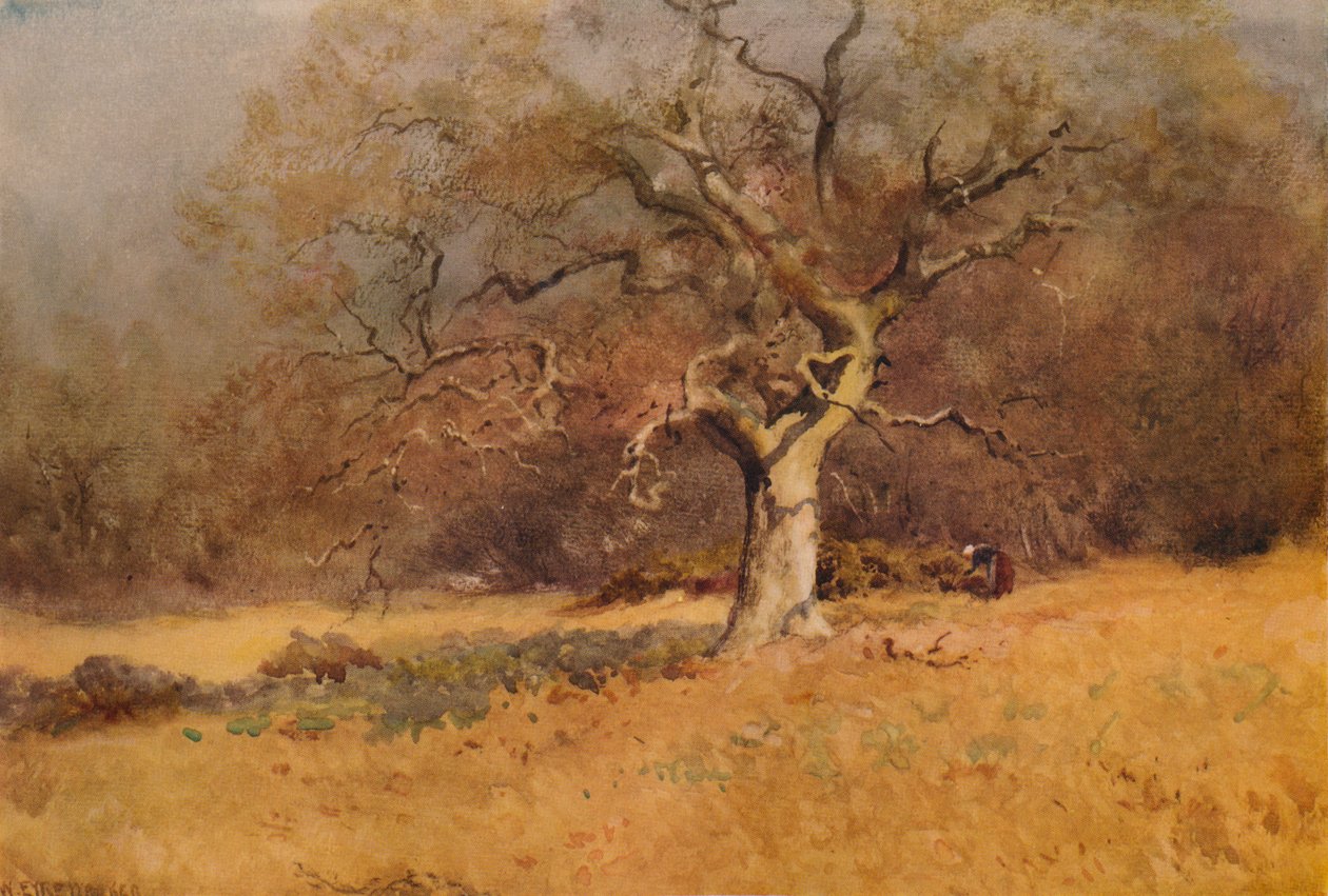 Winter Woods, c1916, 1938dani af William Eyre Walker
