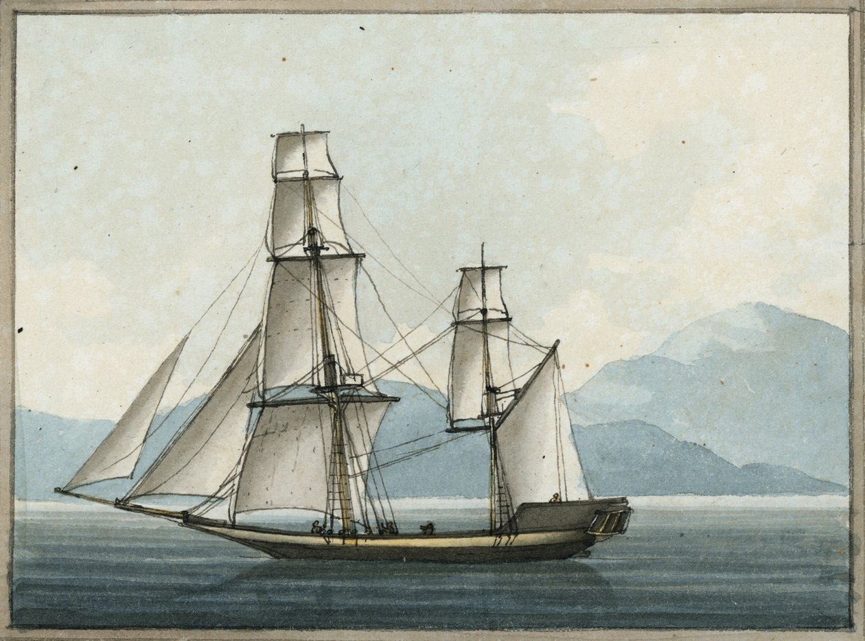 Bombay-grebet af William Ffarington