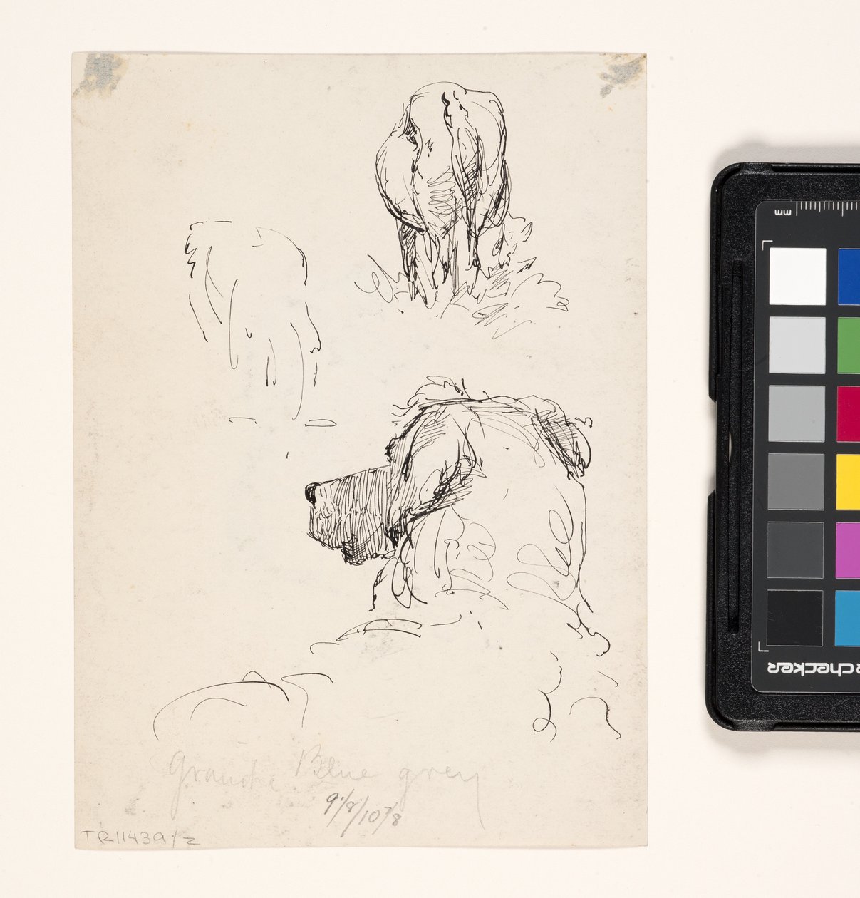 Dog (Recto), Dog And Cow (Verso) (pen og blæk på cremevævet papir) af William Forsyth
