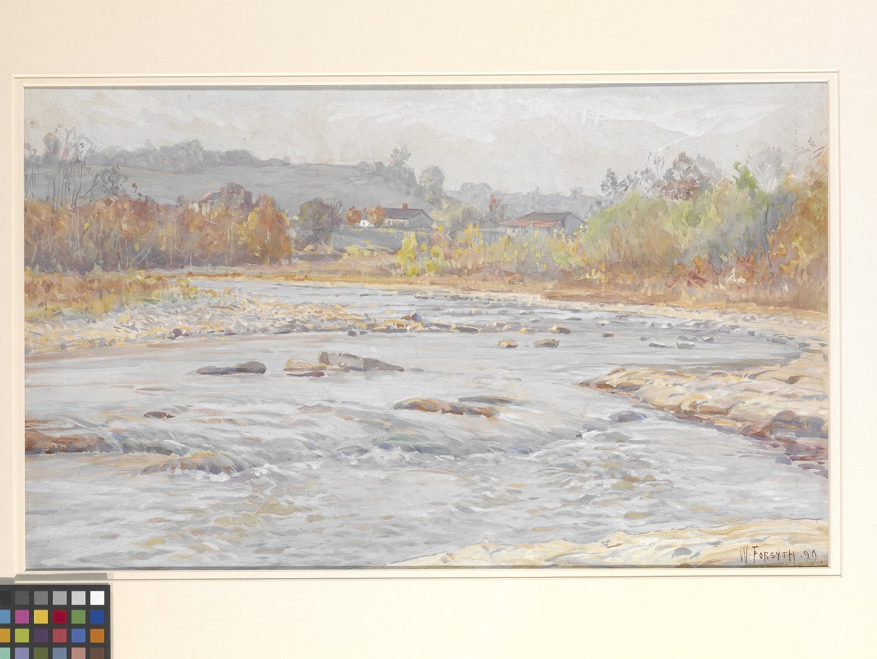Whitewater Rapids (akvarel på råhvidt papir) af William Forsyth