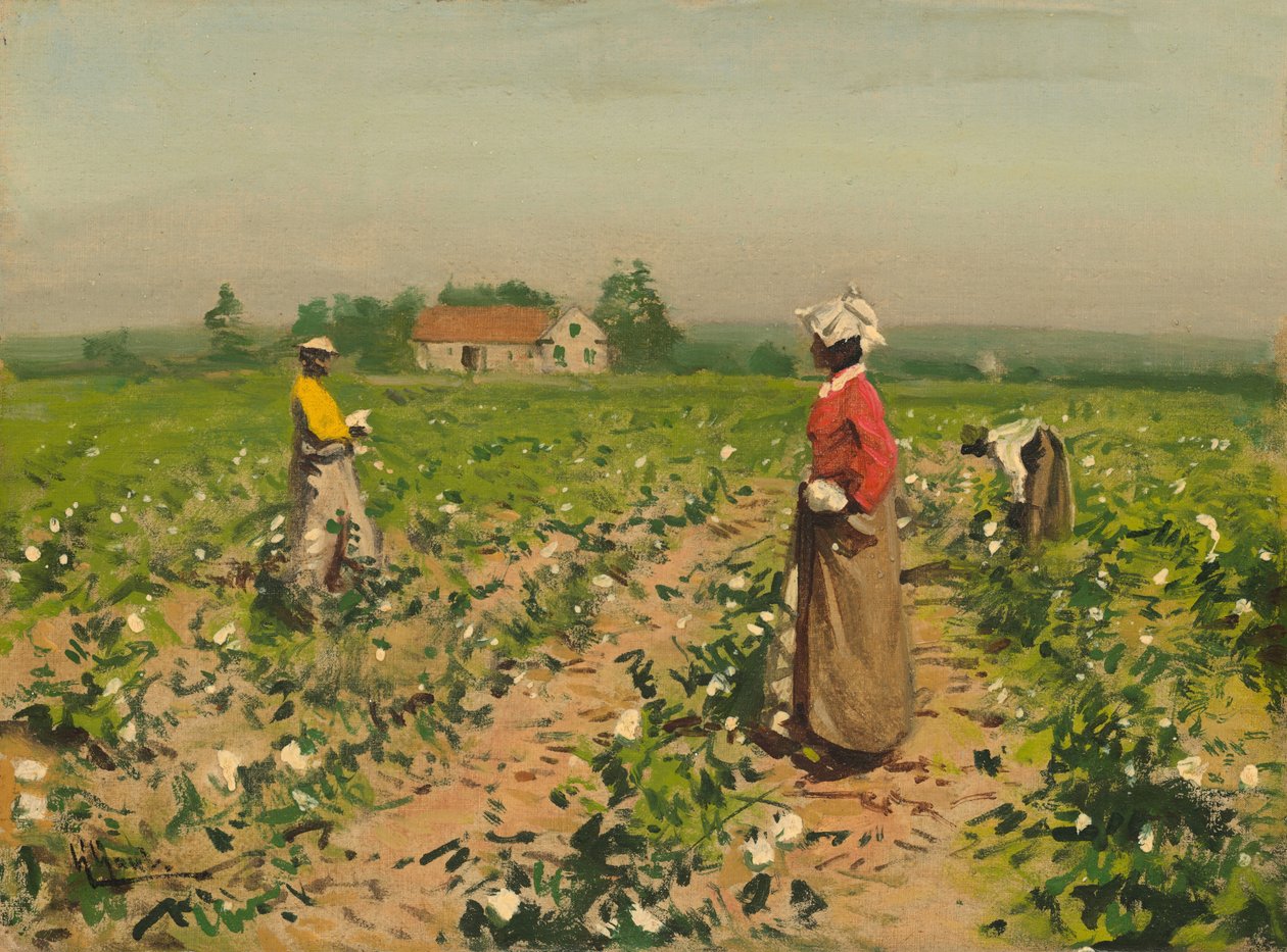 Plukning af bomuld, ca. 1890. af William Gilbert Gaul
