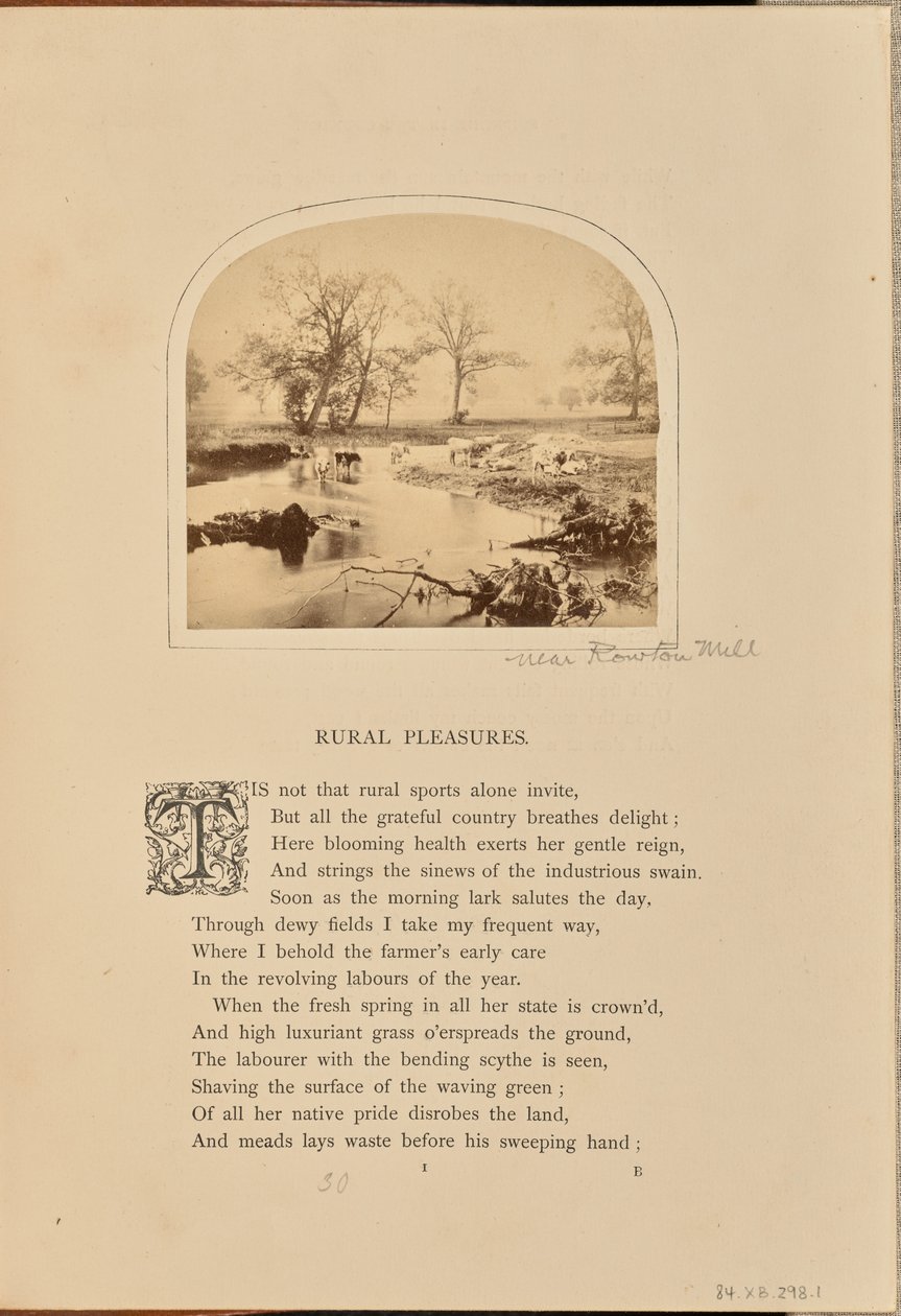 [Pastoral scene med kvæg på en oversvømmet mark, England]. af William Grundy