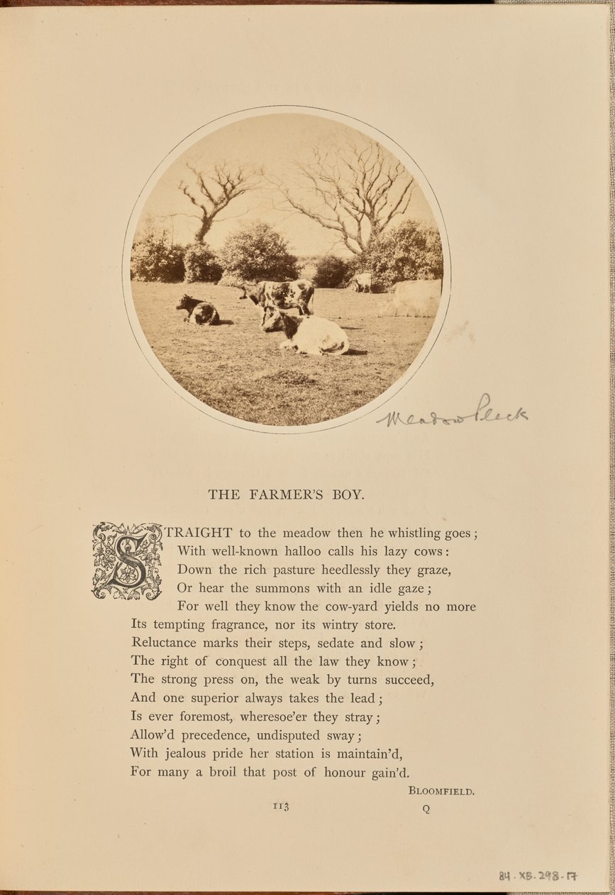 [Pastoral scene med kvæg, der hviler sig på en mark, England]. af William Grundy