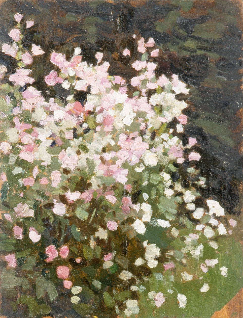 Pink Flowers, ca. 1930 (olie på lærred) af William Gunning King