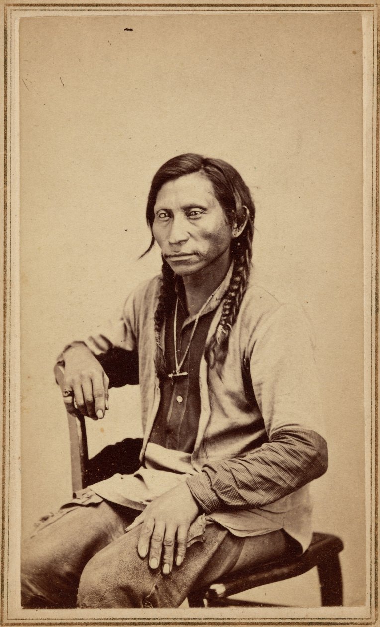 Grå ulv, 1860