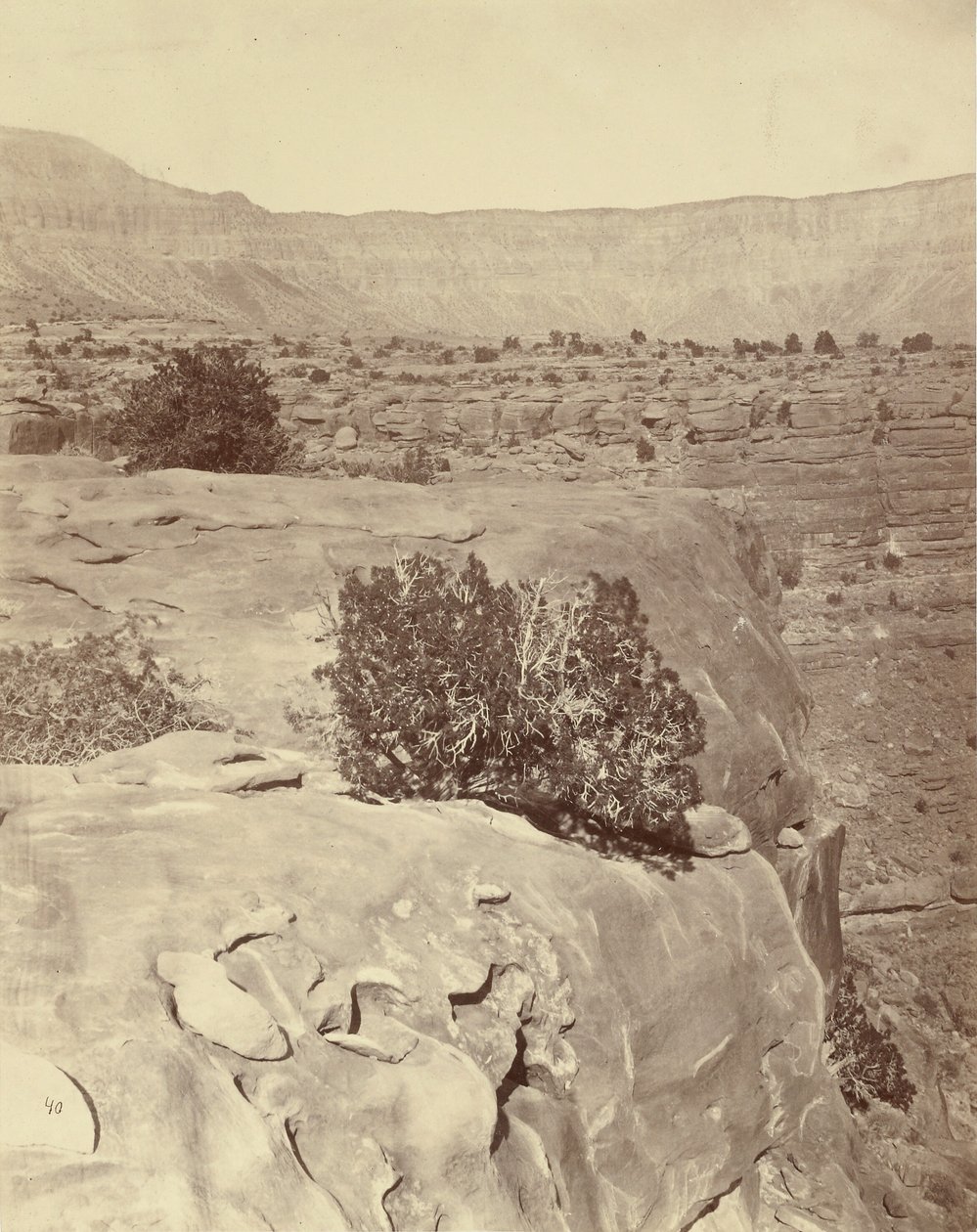 Plateau, nord for Grand Canyon af William H. Bell