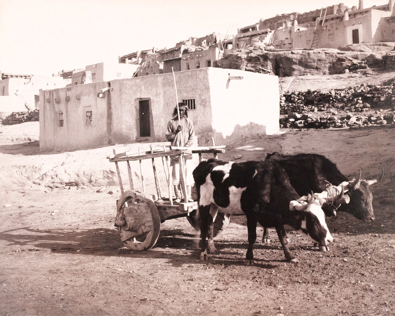 Den gamle Carreta, Laguna, New Mexico af William H. Jackson