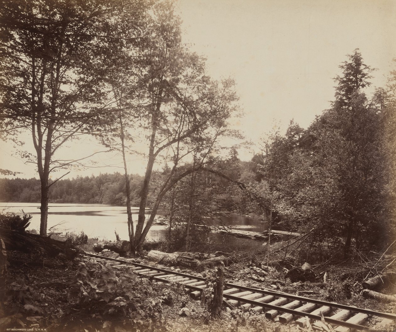 Beechwood Lake af William H. Rau