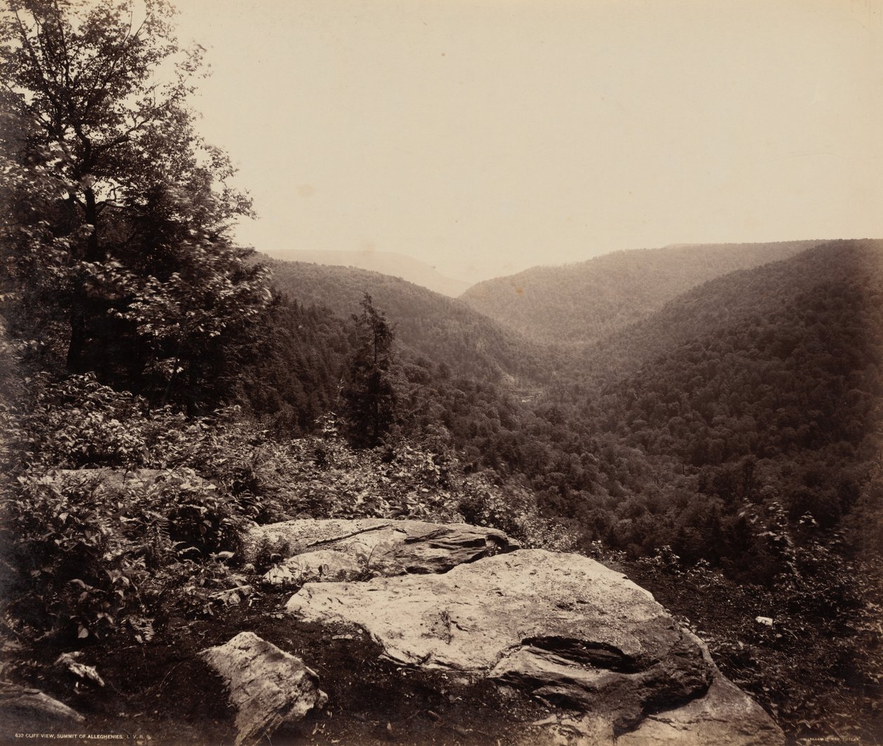 Cliff View, Summit of Alleghenies af William H. Rau