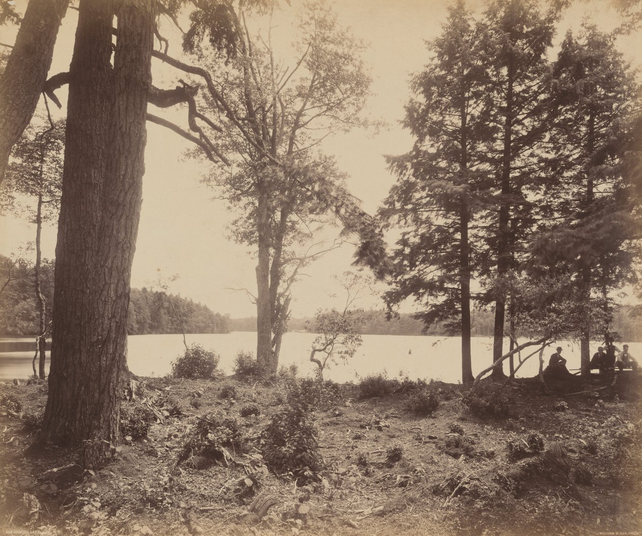 Ganoga søen af William H. Rau