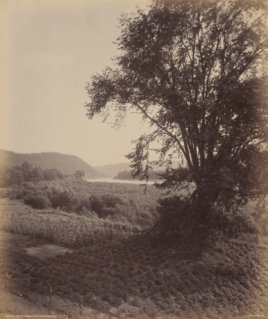 Malerisk Susquehanna, nær Laceyville af William H. Rau