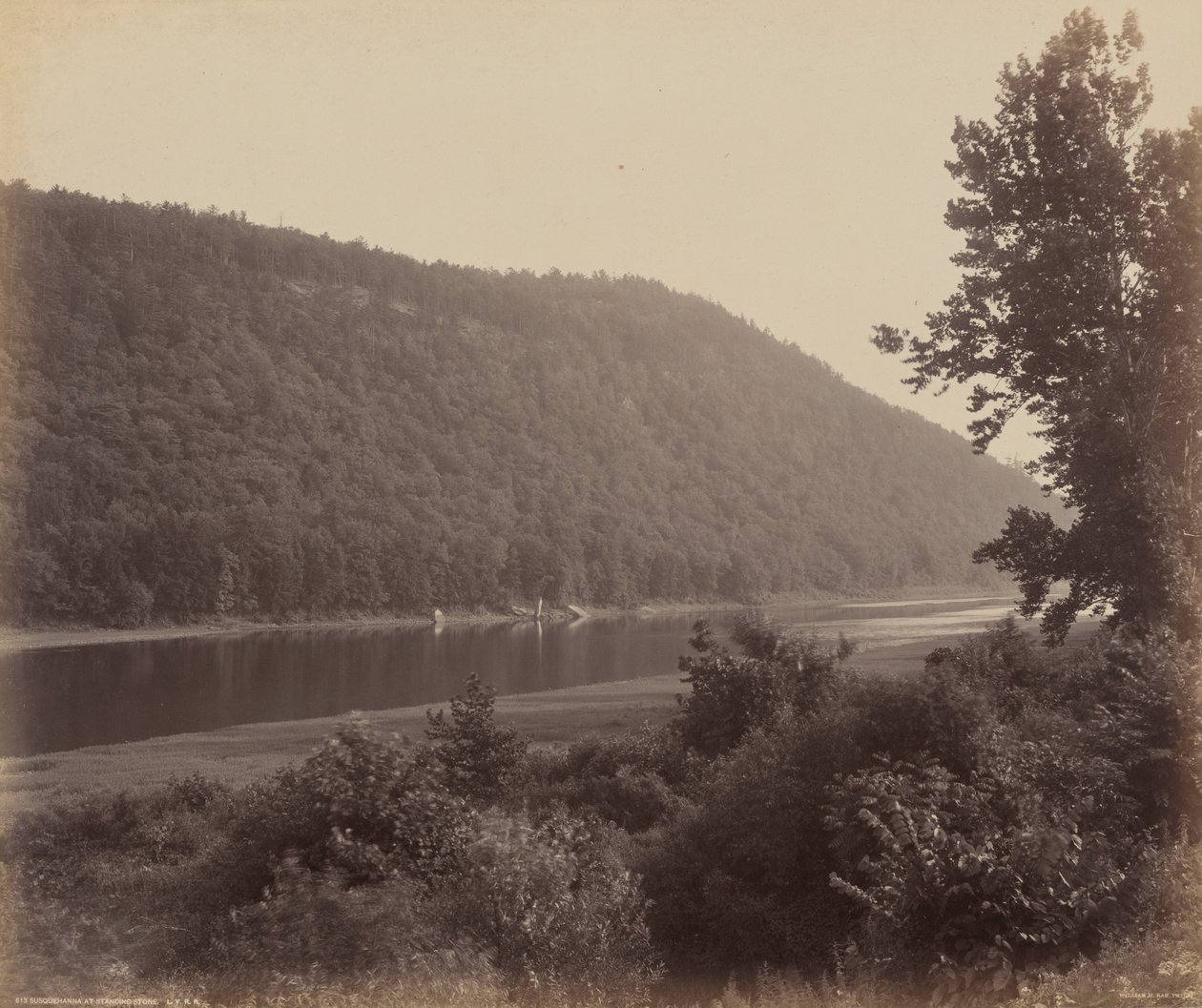 Susquehanna ved Standing Stone af William H. Rau