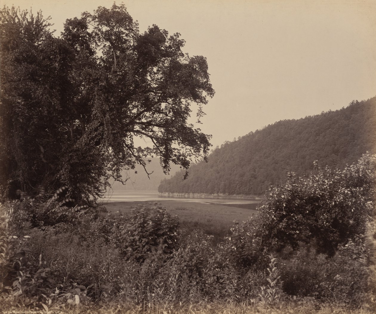 Susquehanna nær Wyalusing af William H. Rau