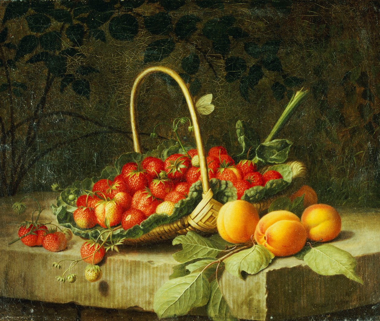 En kurv med jordbær med ferskner på en stenafsats, 1856 af William Hammer