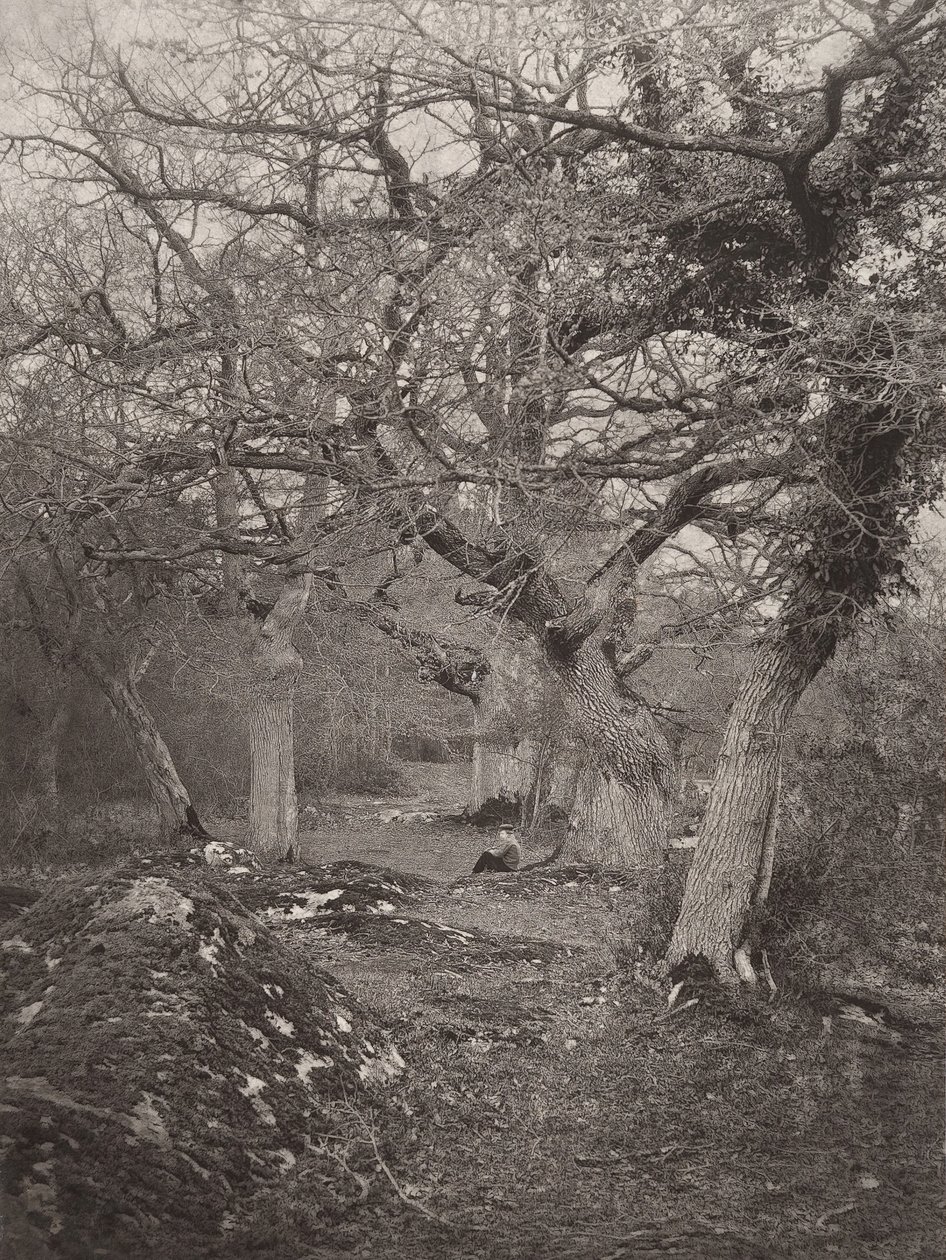 Forest of Fontainebleau, 1870