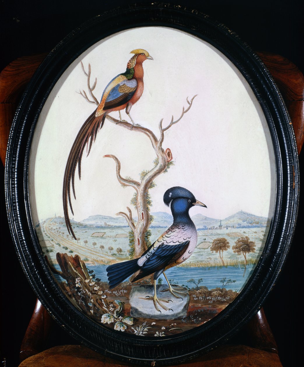 Guldfasan og Jay af William Hayes