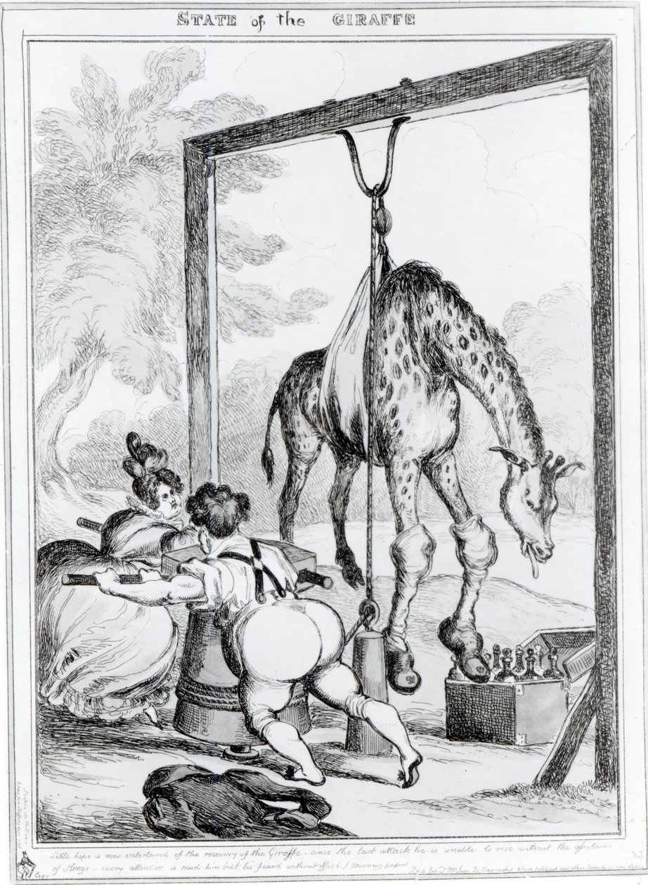 Giraffens tilstand, 1829 af William Heath